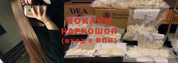 a pvp Магас