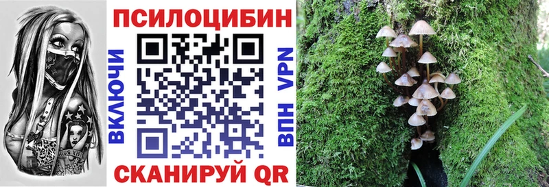 Псилоцибиновые грибы прущие грибы Онега